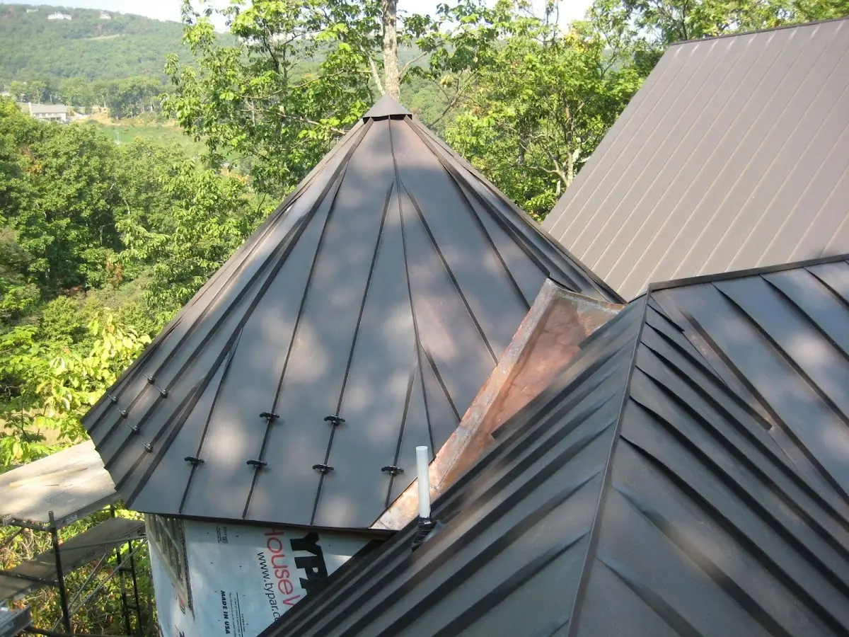 Professional Shingle Replacement & Repair by Craftsman Roofing in College Park